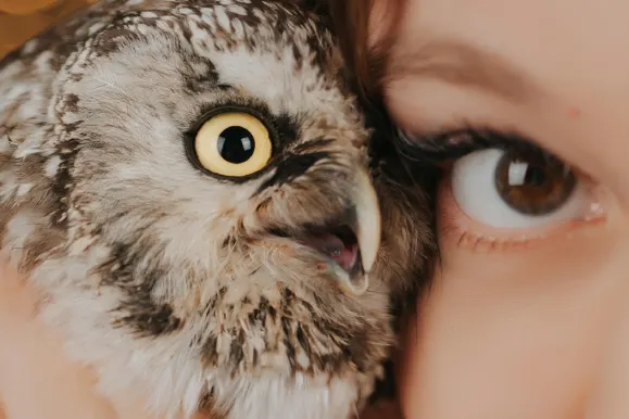 Kazino Fever Bingo Pagalba